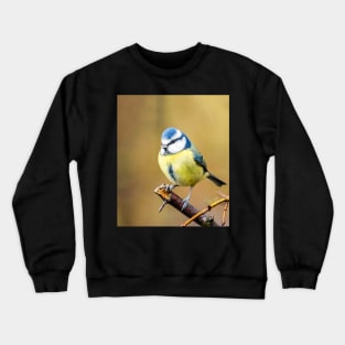 A blue tit in an English garden Crewneck Sweatshirt